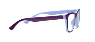 Rally Progressives - Purple/Blue