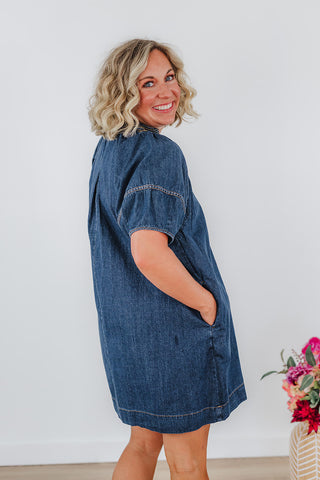 Dani Denim Dress