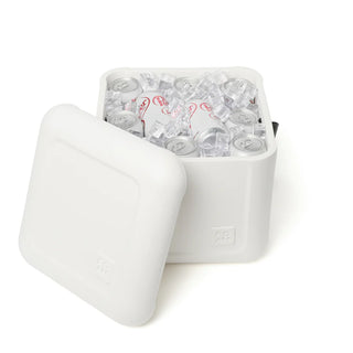 Arctic White Cooler - FOAM