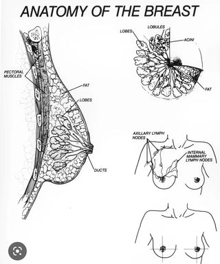 Mineral Deodorant\ Purification